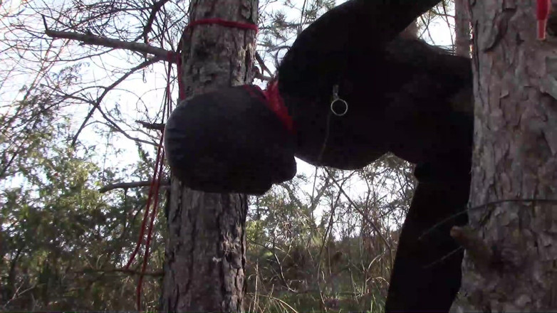 LauraOnHeels: Outdoor sex in the wood. Wearing sexy clothes and high...