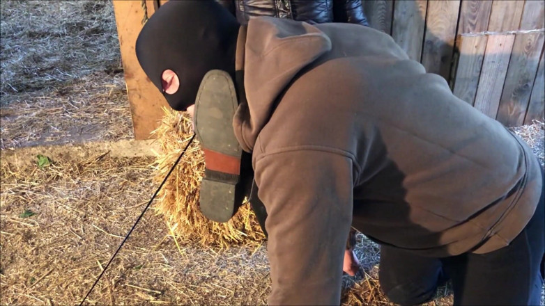 Nica Nordic: Trampeln des Reiters
