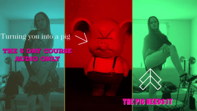Campsissyboi: Apprends à être un cochon les 5 jours de cours sniffer oink coaching...