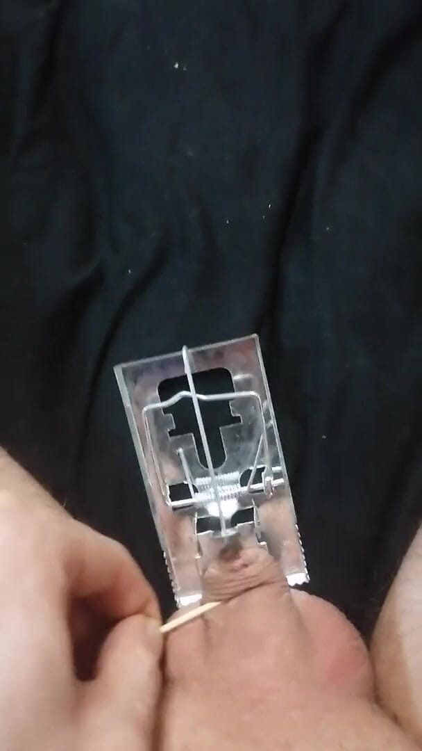 Adashah: Mikropenis och en musfälla. Gjorde ont och det bytte färg