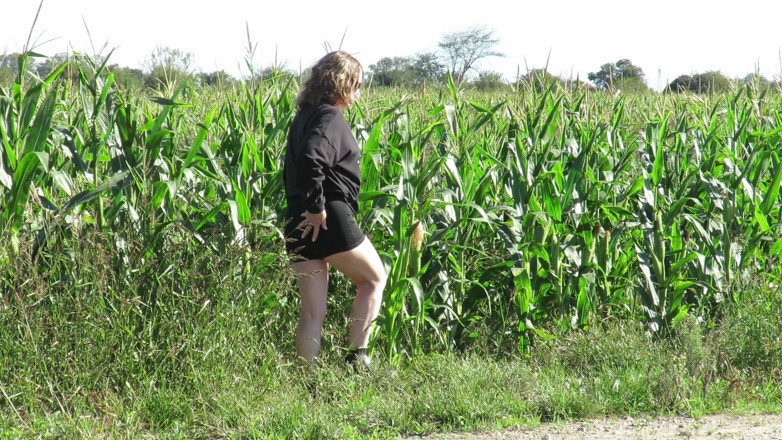 Milfcamsex: Patricia di Padang Jagung