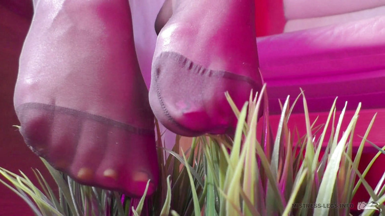 Mistress Legs: Nilon diperkuat mainin mainan seks sama rumput buatan