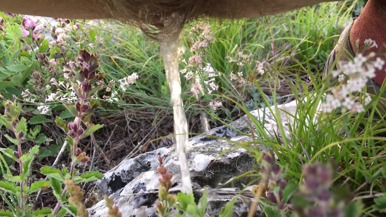 Risky Hairy Couple: Hairy Pee Açık havada
