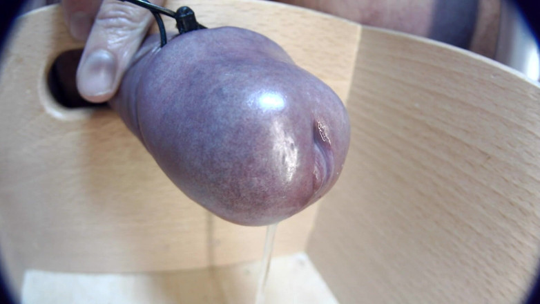 Gaylectrician: Gros plan, éjaculation 21-11-12