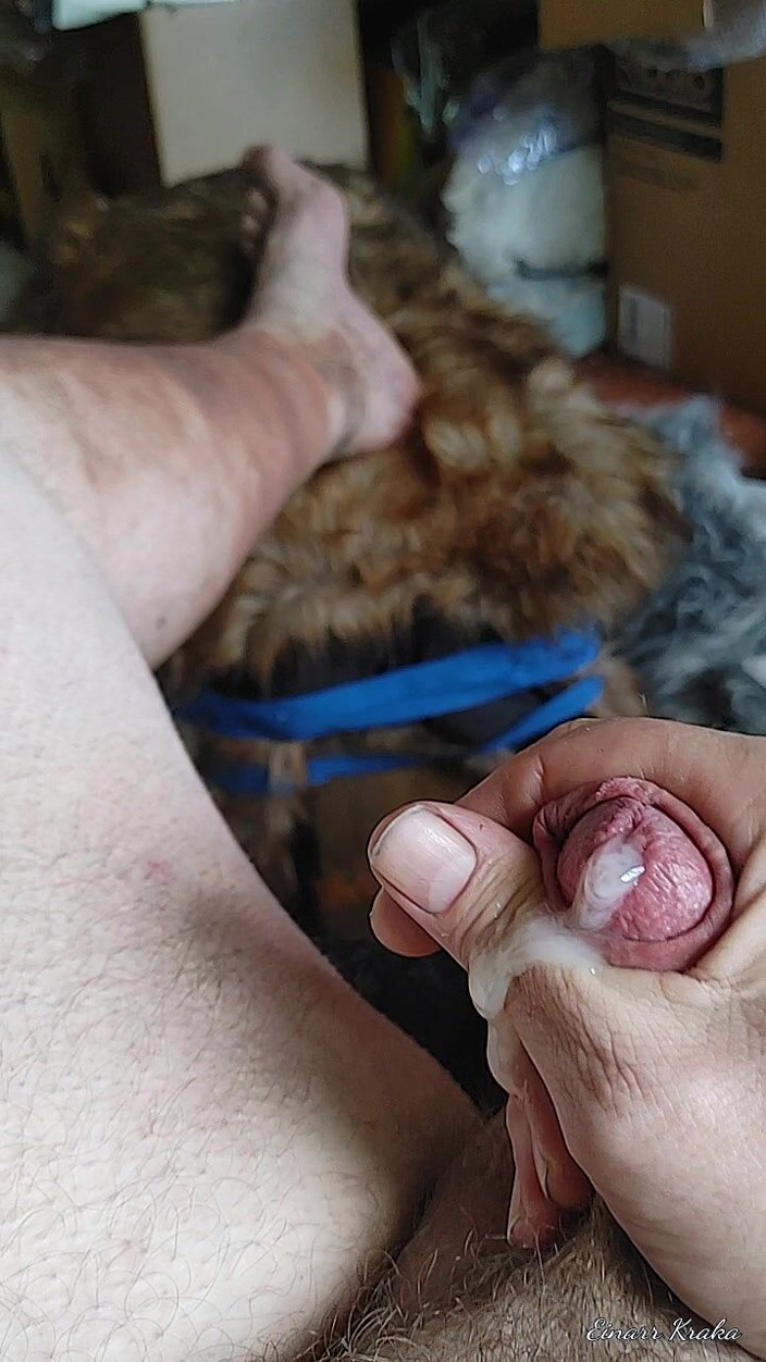 BigManShaman: Țâțând pula