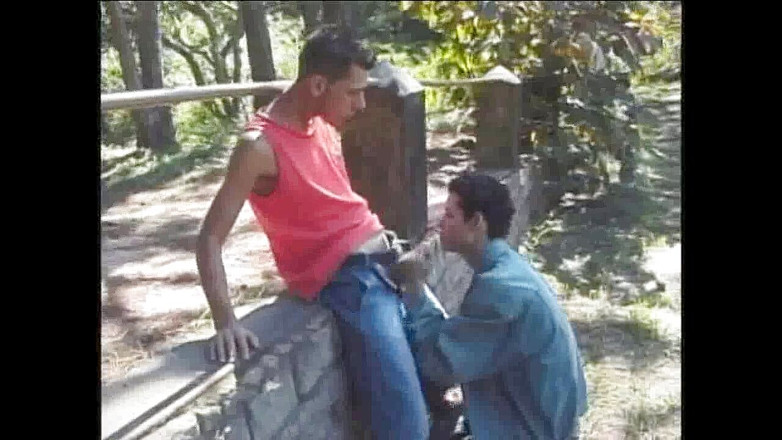 GAY VINTAGE PORN: ゲイは通りで犯さ