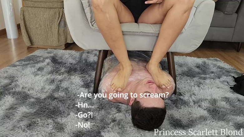 Queen Lytta ballbusting and cum lick: Princesse Scarlett Blonde - Vengeance sexy - Scarlett Bondage collègue et lui...