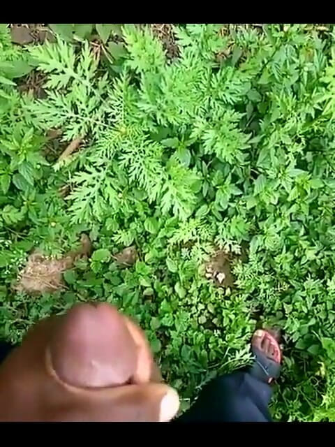 Haydenbbc: Haydenbbc