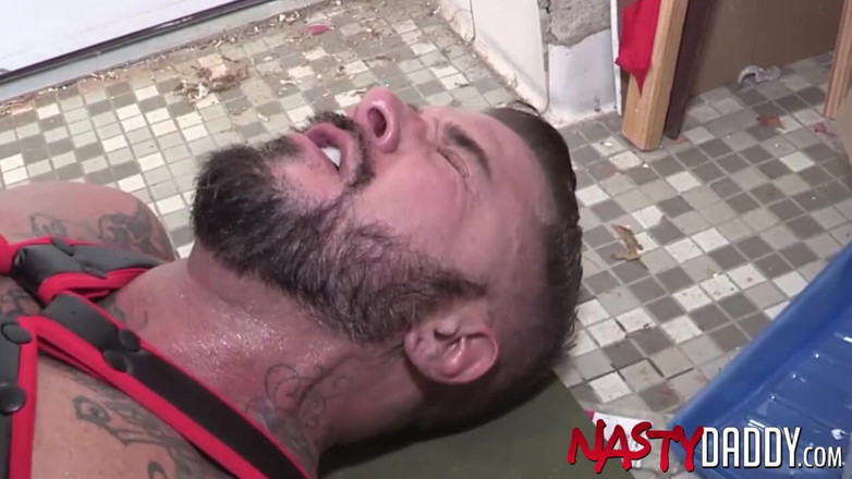 Nasty Daddy: Nastydaddy - pedaço barbudo Jake Morgan devastado por papai tatuado