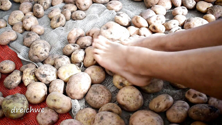 Dreichwe: Menyentuh kentang yang sedap dengan kaki