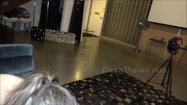 DoggVision: POV 보지에서 입으로 이중 질 쓰리섬