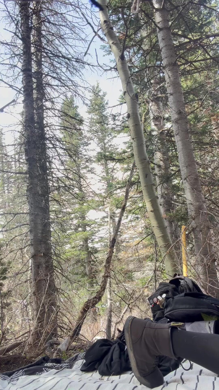 Lionsand pups: Baisée Lors D’une Promenade Dans Les Bois