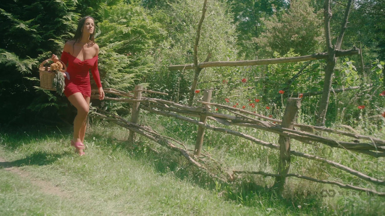HardWerk: Garden Bang No Music
