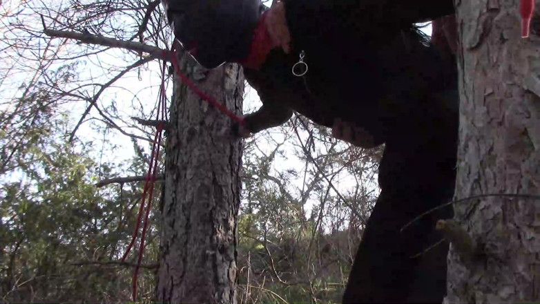 LauraOnHeels: Outdoor sex in the wood. Wearing sexy clothes and high...