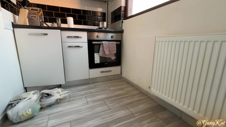 GassyKat: Moje páchnoucí prdy vlastní dům