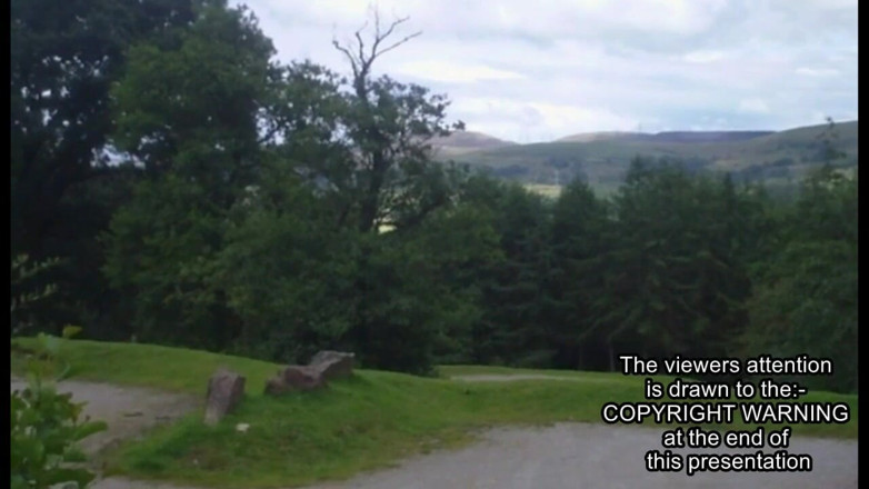 Movies by Louise: Swansea pecorina sul ciglio della strada cam