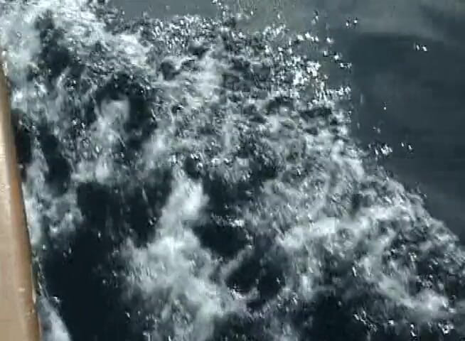 Black Jass: Black Baywatch, une bombasse aide un mec dans le besoin