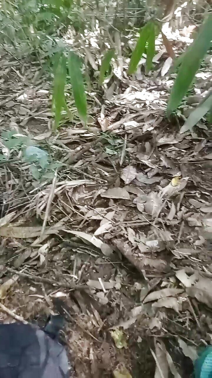 AdmHell: Masturbating in the Woods Until It Spurts