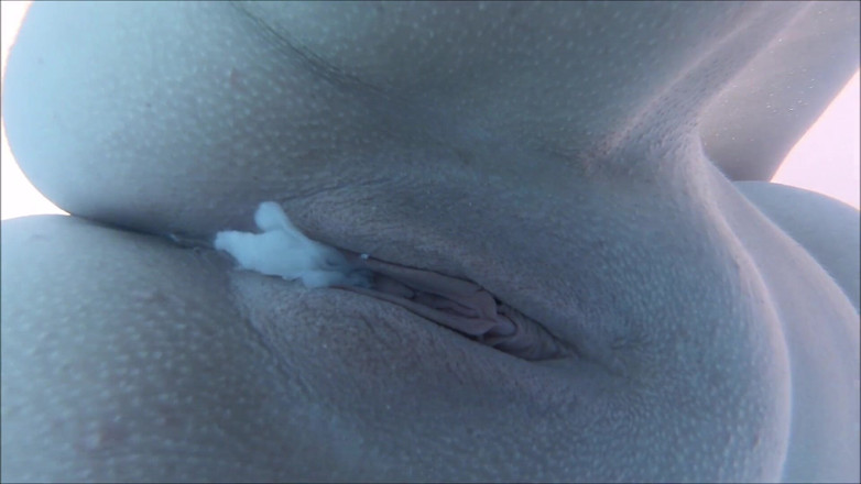 Camilla Creampie: Havuzda sikişiyor. Sualtı görünümü