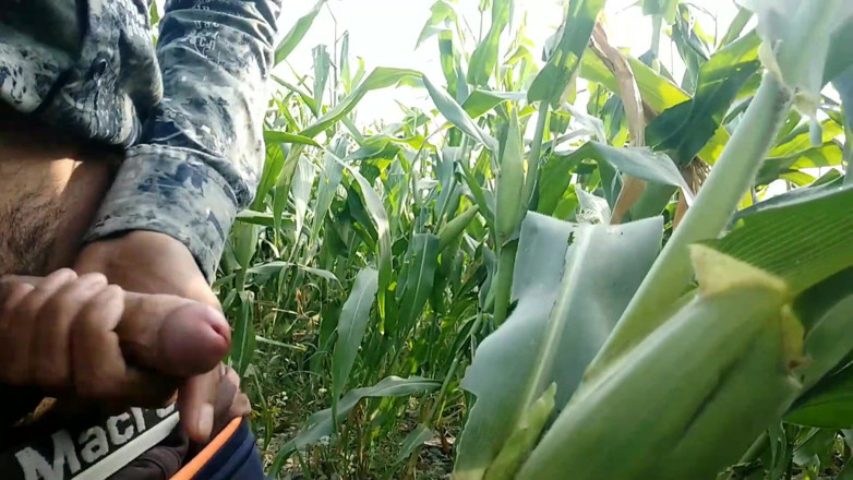 Desimast7: Gozando em Maize Leaf, Super Cumming