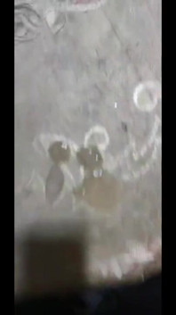 Arab Dick Big Cock From Morocco