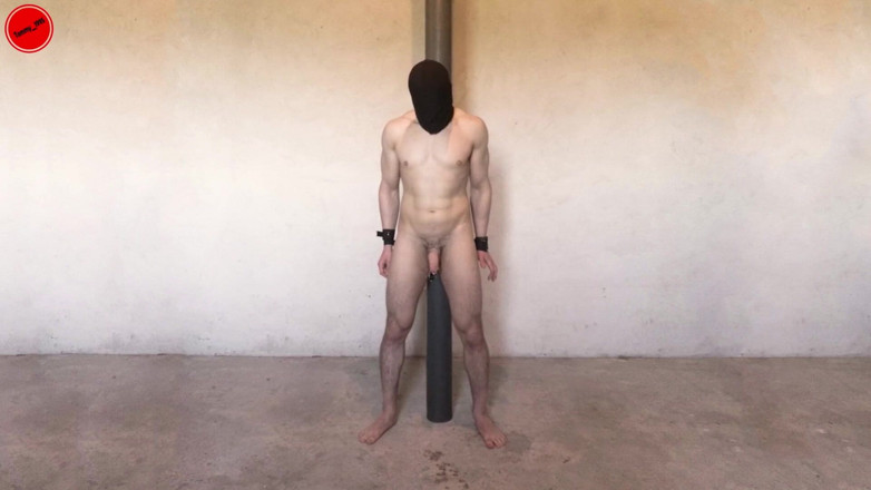 Tommy_1995: Prostata melkt zwei orgasmen, analsonde, vibrator, gebundener typ