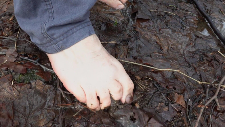Kinky Guy: A Walk Barefoot di Dalam Hutan Berlumpur