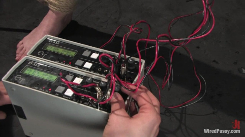 Wired Pussy by Kink: Kattun
