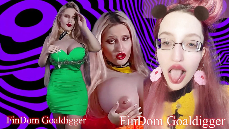 FinDom Goaldigger: 最敬业的粉丝转型