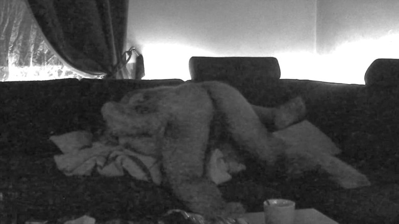 Lusty Mommy and Dirty Daddy: parosi kutiya ke saath kaamuk chudaee uske pati dvara baadhit...