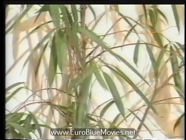 Euro Blue Movies: Diep in (1993)