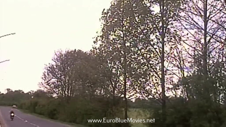 Euro Blue Movies: 어벤져스 엑스트라 부부