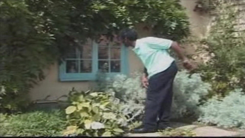 British Blue Movies: Pengembaraan British Big Omar: Ejen dubur ternakan (2001)