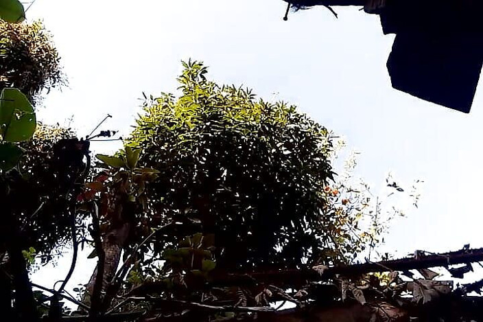 Thakursammy: सुबह के समय में पेशाब