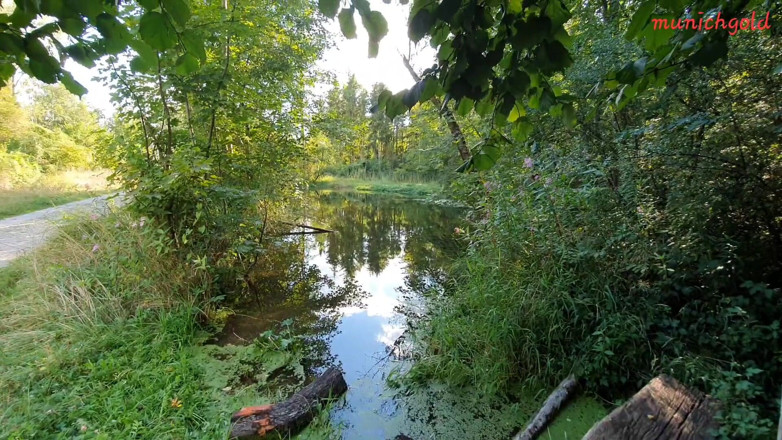 Munichgold: Kakak ipar Munichgold nyepong kontol di hutan di luar ruangan......