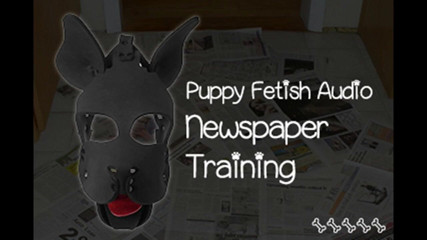 Campsissyboi: Puppyfetisj krantentraining