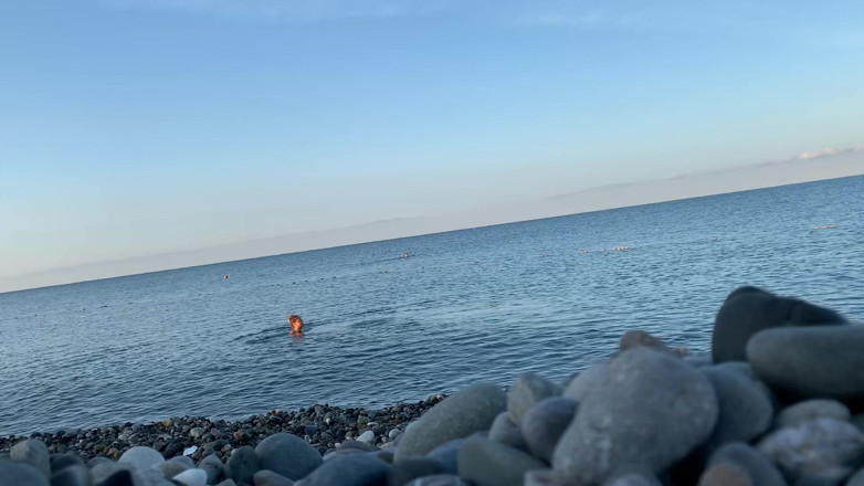 Monika Fox: Monika Fox simmar naken i havet