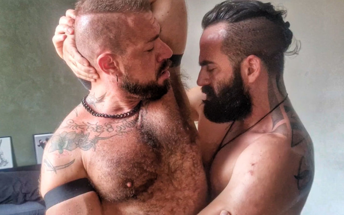 The Bearded Master: Wolf busuk berbulu mengongkek Gorilla busuk berbulu.