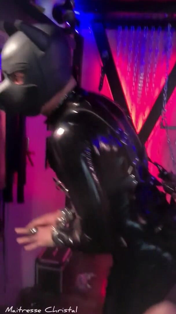 Maitresse Christal: Una pecorina con la mia imbracatura, parte 3