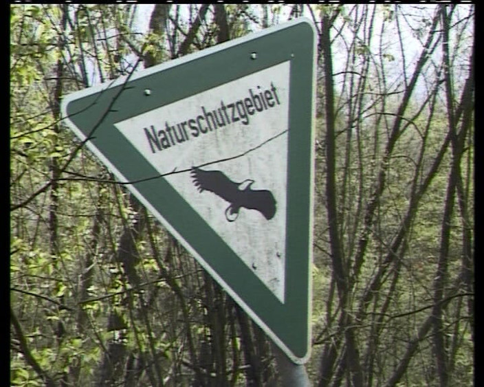 Deutscher hardcore: Amatorskie nastolatka z Niemiec dostaje jeździć kutas