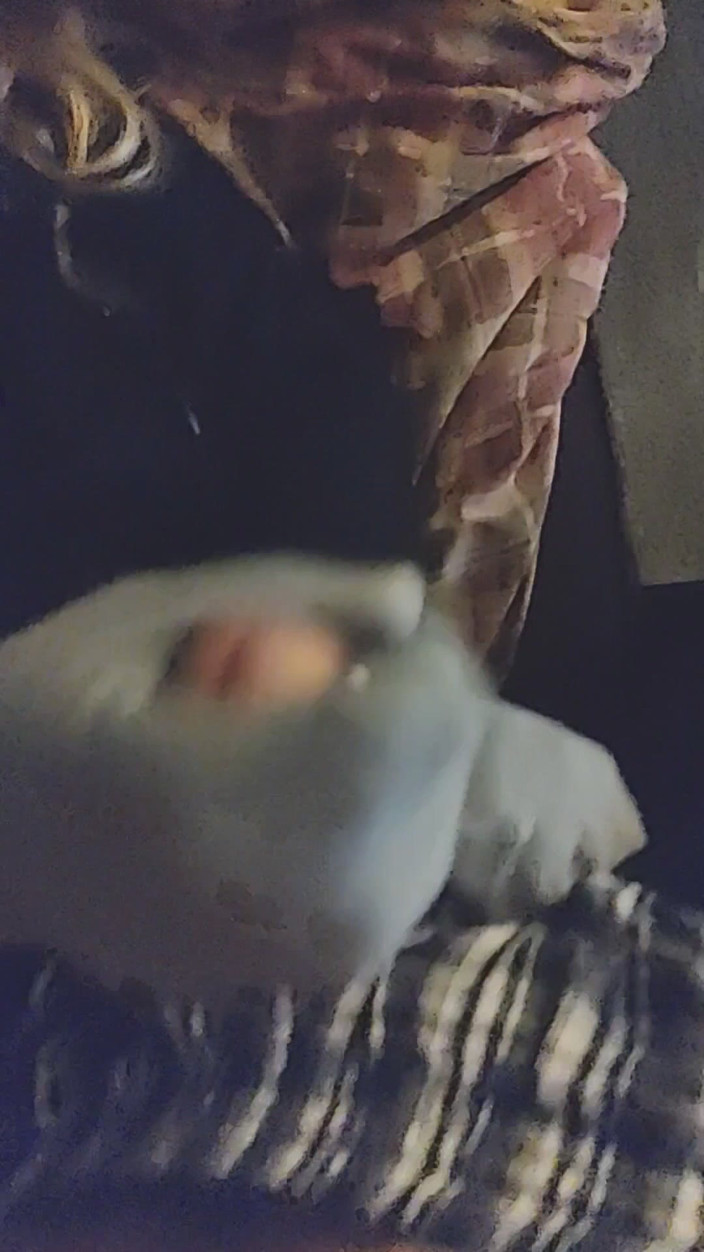 SocksAddict69: Handjob kaus kaki slow-mo