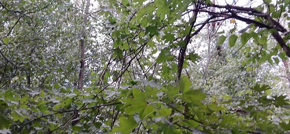 Lesbian-illusion: Masturbation féminine risquée en POV dans un plasage public