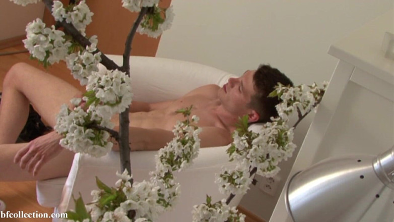 Boyfun: Vincent