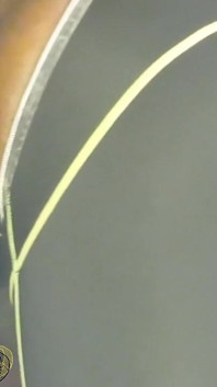 mere 10'' ke dildo ki savaari ante gahri chudaee kar rahe hain!