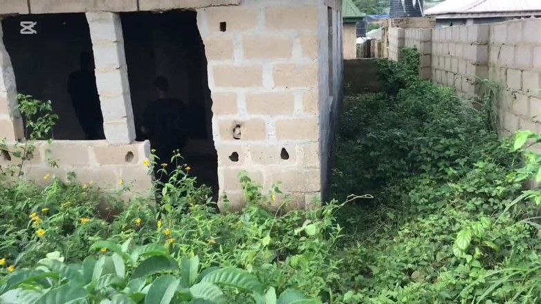 Big_brown: Beni sürekli kazın