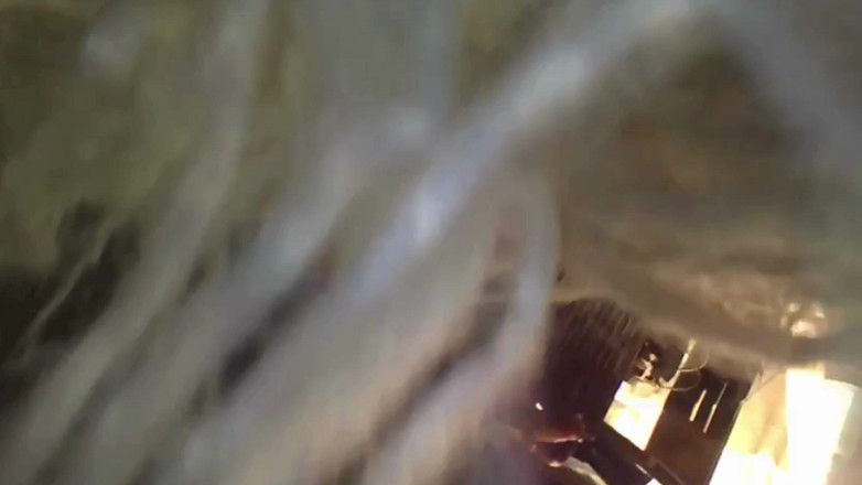 Maeling: Tiny Couple Stuffed in Oily Anal - Giantess Ass