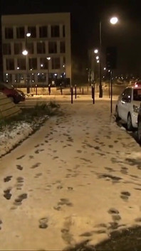 Une brune sexy à la chatte poilue se fait pisser dessus