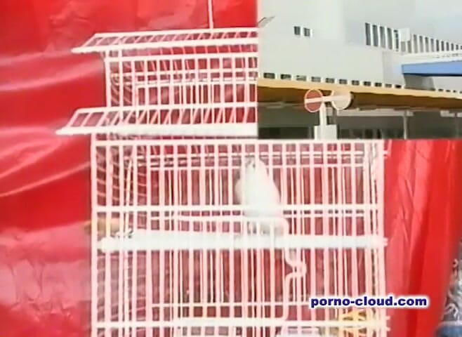 Porno Cloud: アラビアの秘密 - DVDリー
