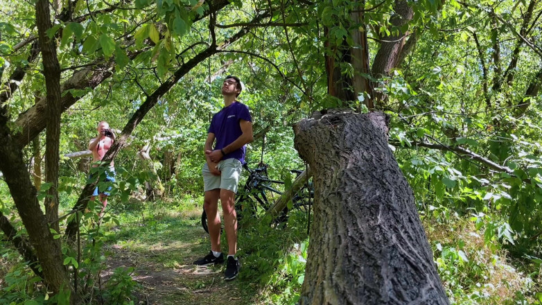 Nick Lewis: Bite qui suce dans les bois