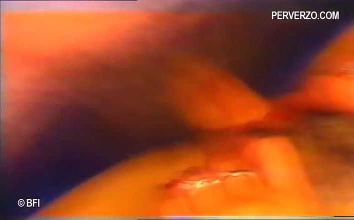 Amazing asses and pussies: Velké zadky jsou ošukané - DVD
